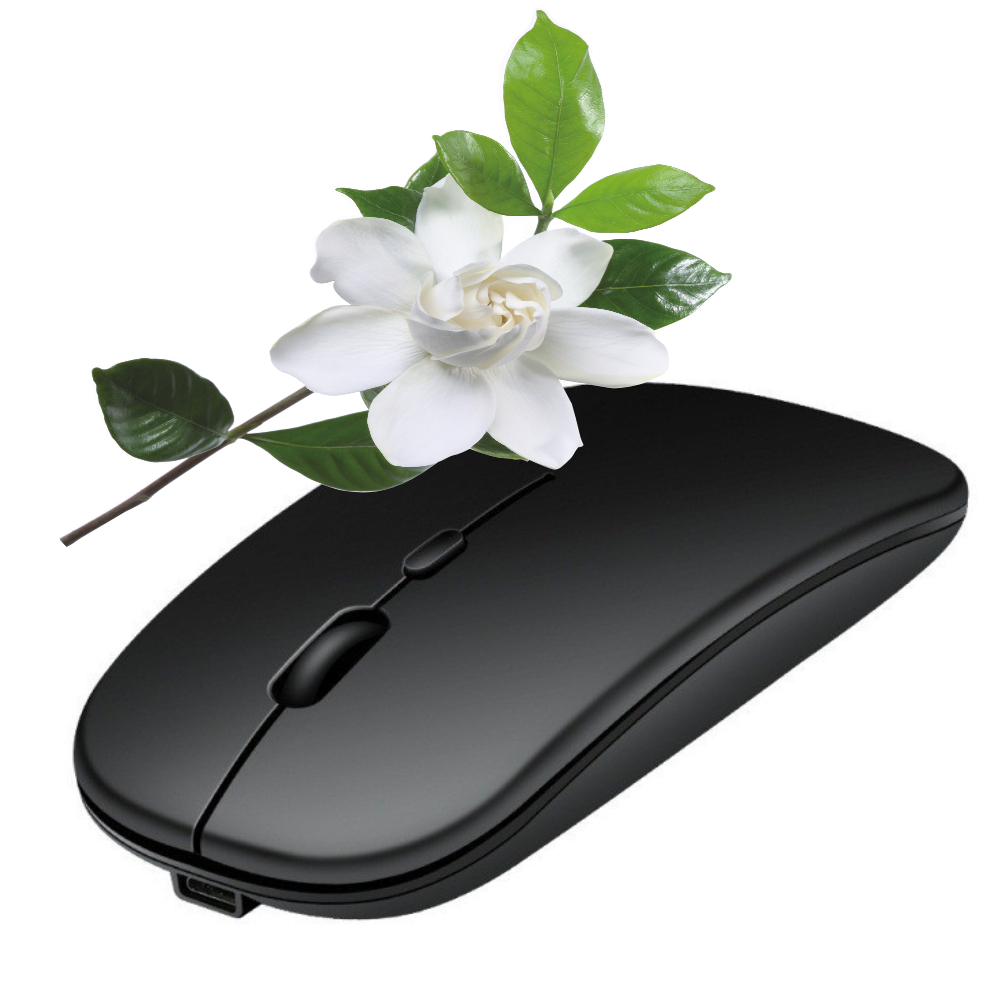 Rechargeable Bluetooth Mouse W - đánh giá và giá Pc Gaming X3D